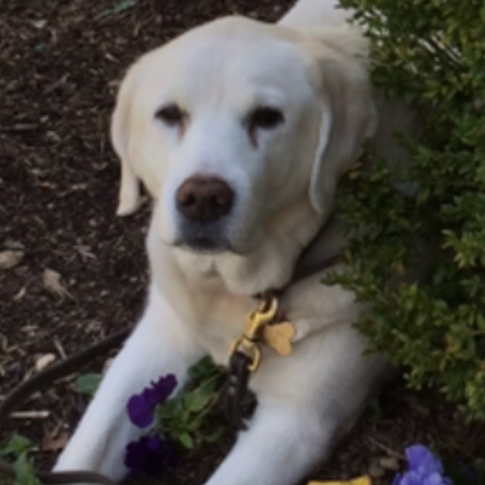 Meet your Posher, Wendy